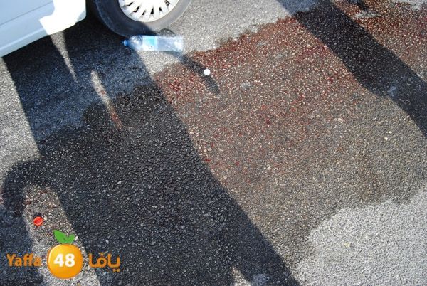 shejar hit guy 811 (3).JPG